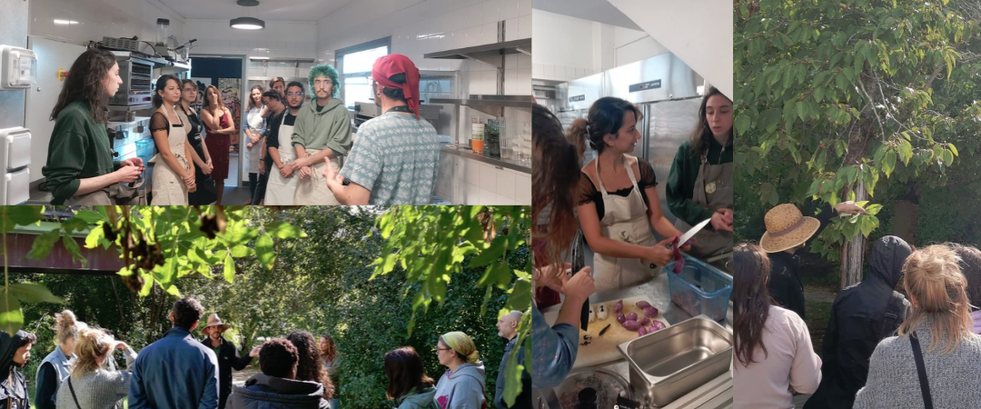 Premiers ateliers